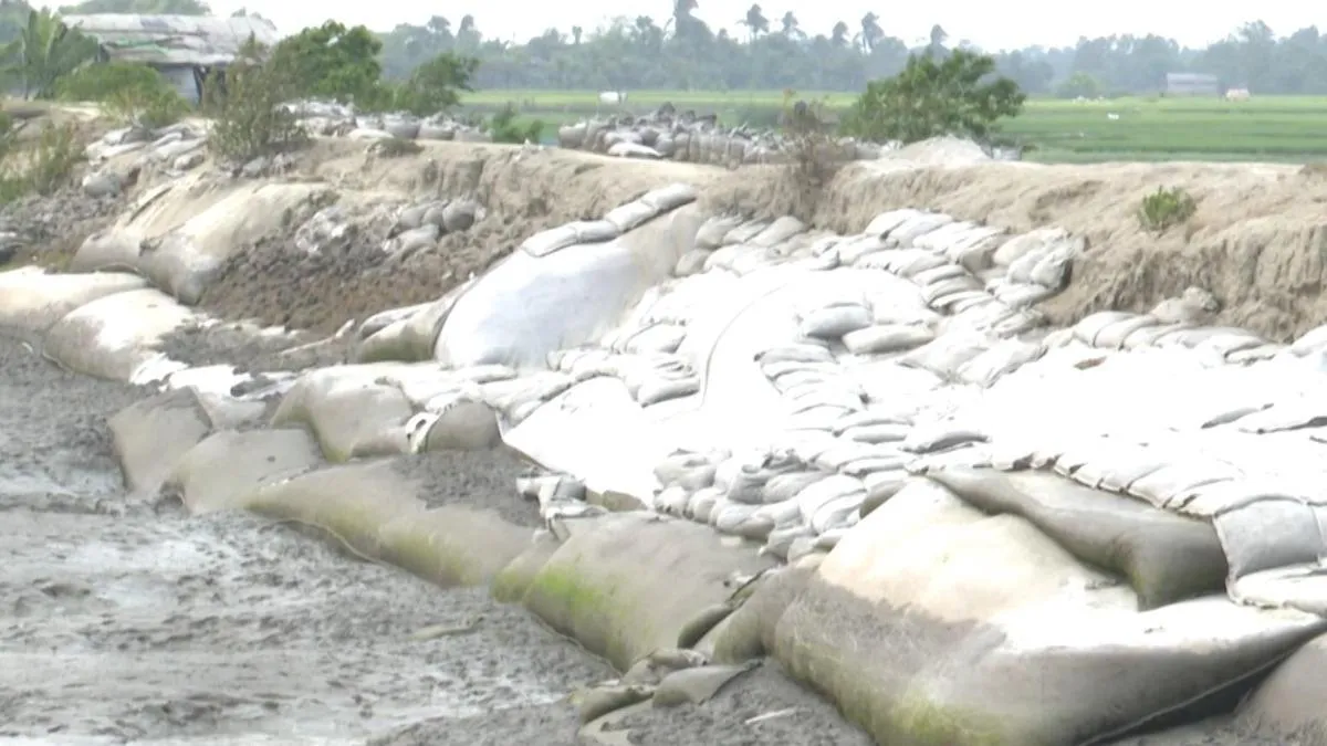 আশাশুনিতে পাউবোর বেড়িবাঁধে ভয়াবহ ভাঙন, প্লাবনের শঙ্কা