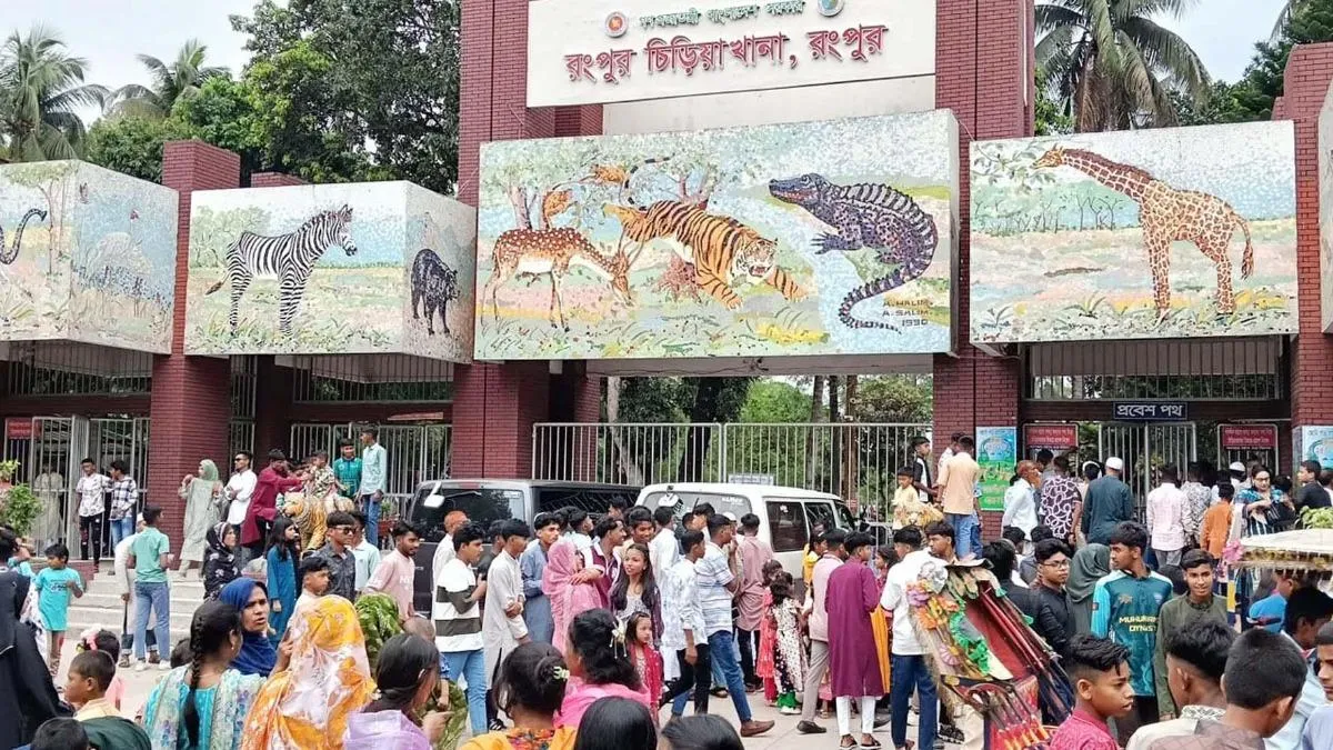 রোমিও-জুলিয়েটের রাজা-রাণী কাড়ছে নজর