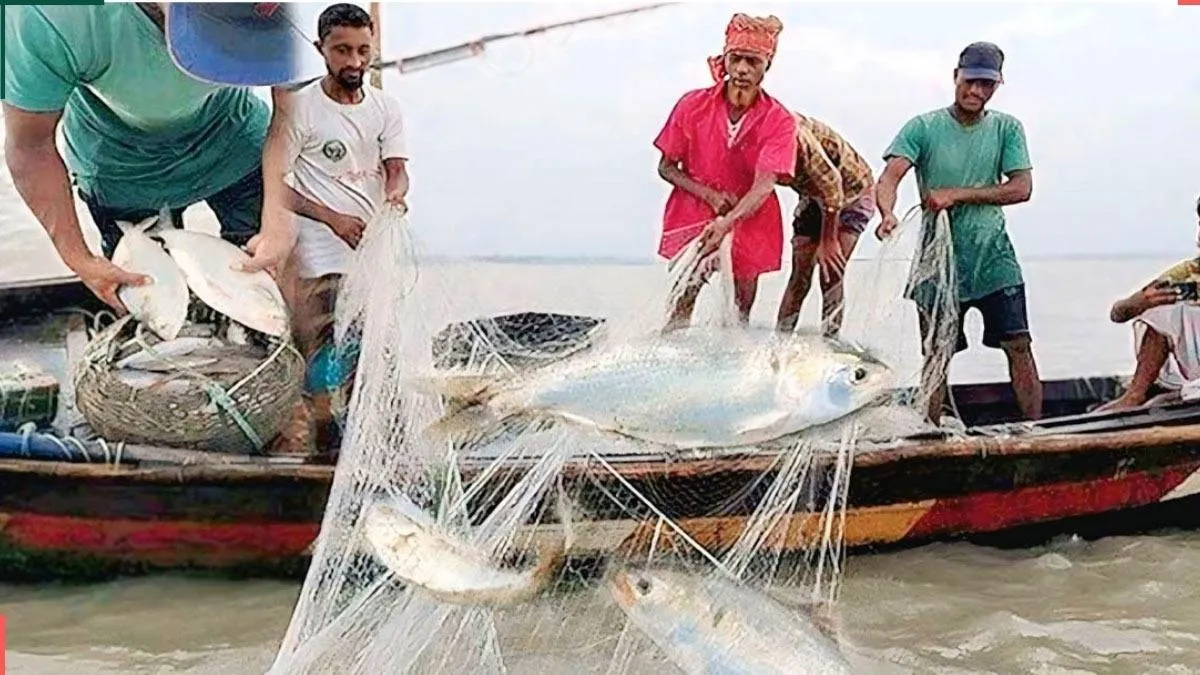 ই‌লিশ বাঁচা‌তে অভয়াশ্রমে ২ মাসের নি‌ষেধাজ্ঞা