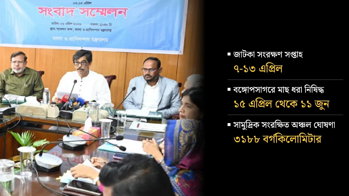 ইলিশ বাড়াতে জাটকা সংরক্ষণে জোর দিচ্ছে সরকার