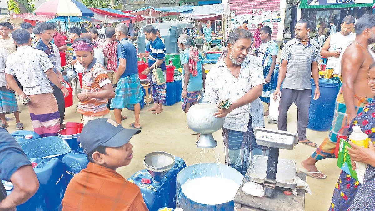 আধা ঘণ্টায় বিক্রি ২০০ মণ দুধ