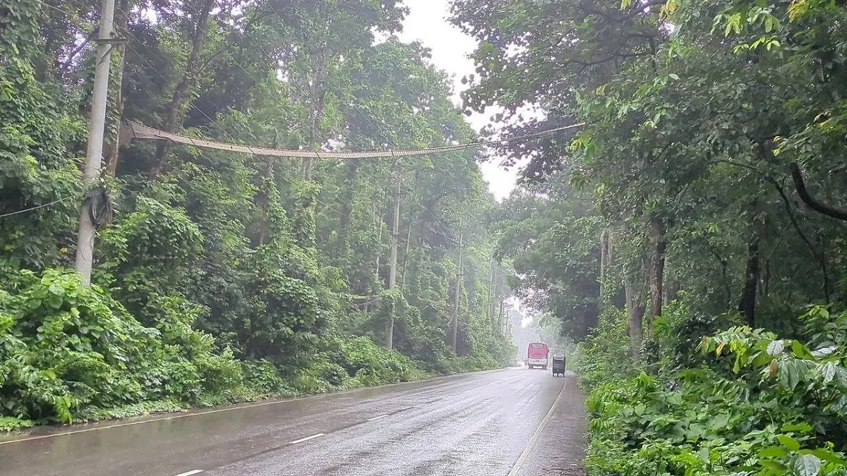মধুপুরে বন্যপ্রাণীর নিরাপদ চলাচলে পাঁচ রোপওয়ে করিডোর