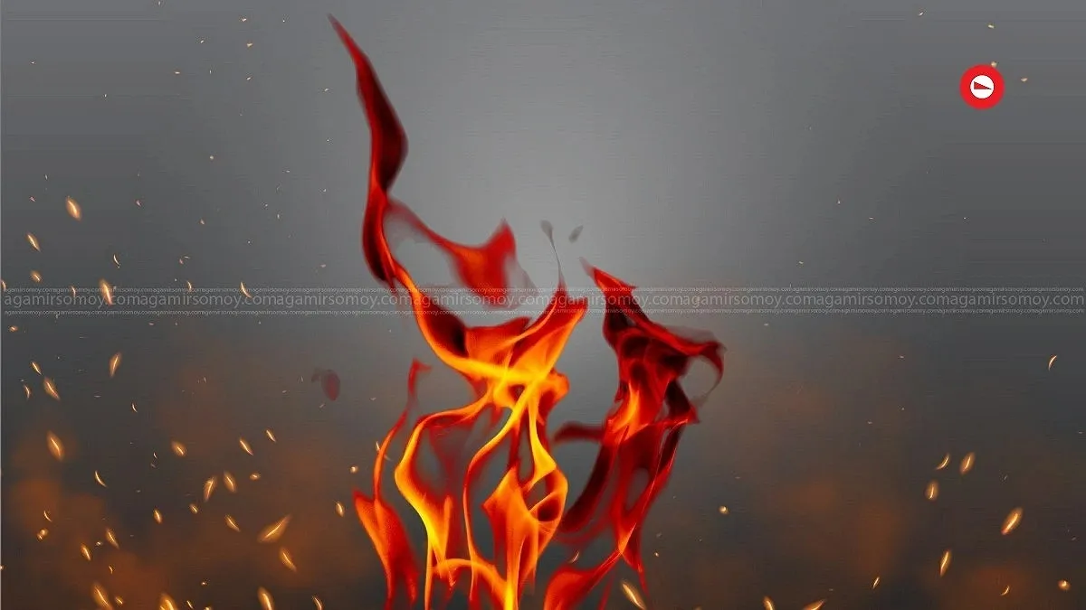 রাজধানীর হাজারীবাগে জুতার কারখানায় আগুন
