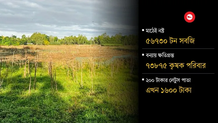 বন্যায় নষ্ট ১৪০ কোটি টাকার সবজি, উত্তরবঙ্গের ভরসায় চট্টগ্রাম