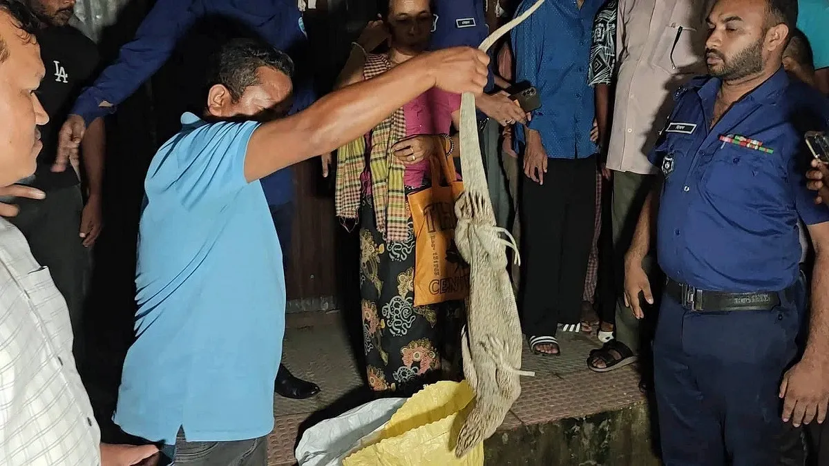 খাগড়াছড়িতে ২৪ গুইসাপ উদ্ধার, নারী আটক