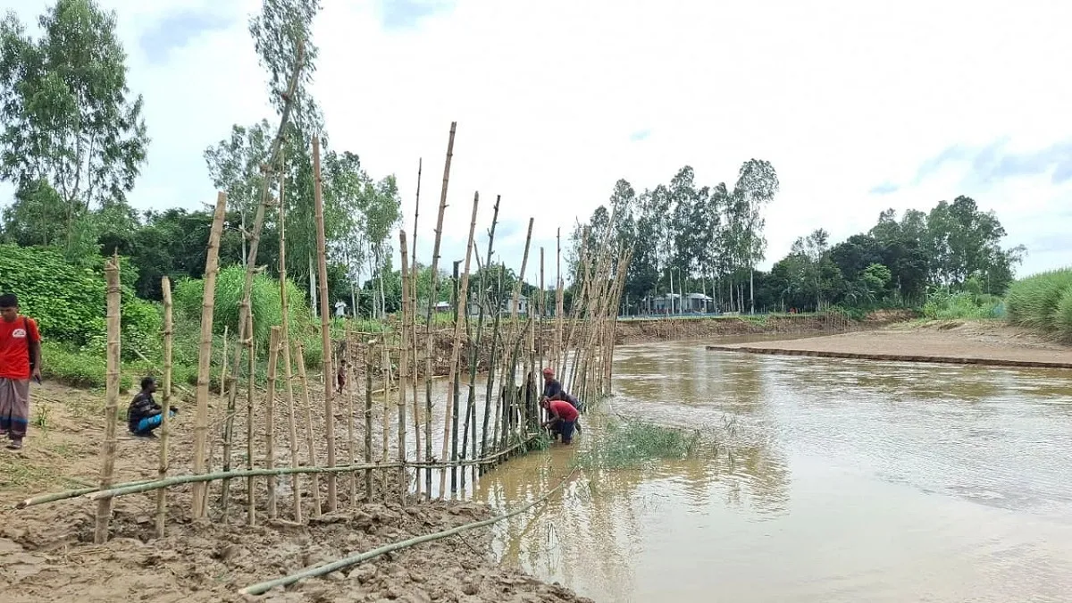 ভাঙন ঠেকাতে বাঁশের বান্ডেল নির্মাণ এলাকাবাসীর