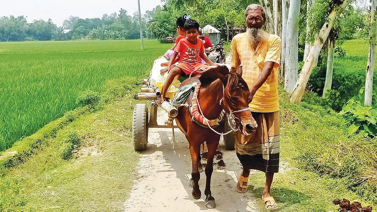 ঘোড়ার গাড়িই ভরসা
