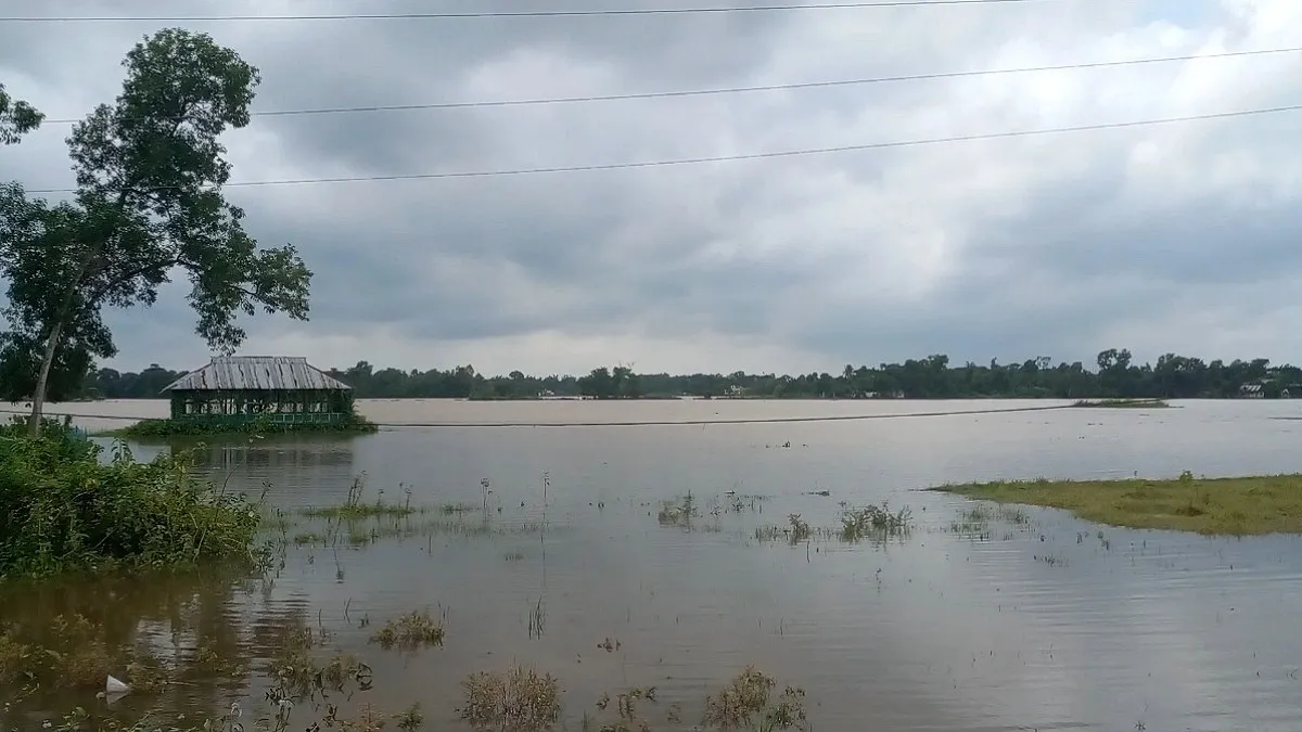 উজানের ঢলে তলিয়ে গেছে আখাউড়ার ২৫০ হেক্টর ধানের জমি
