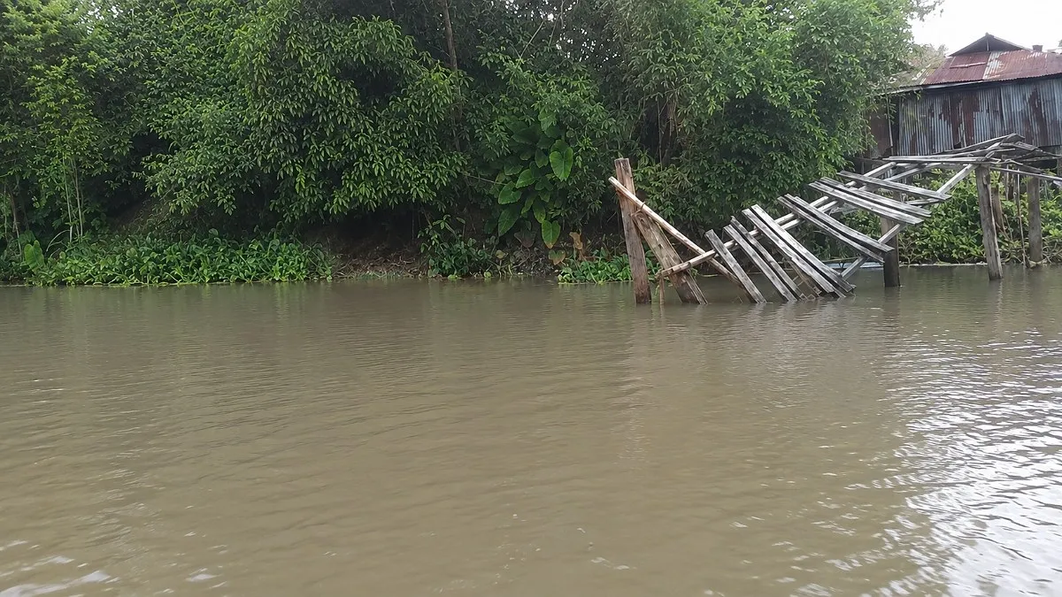 বাঁশের সাঁকো ভেঙে পড়ে দুর্ভোগে ১০ গ্রামের মানুষ