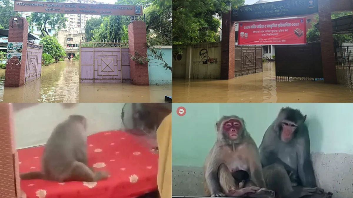 বানে বানরে মানুষের জীবন ঢাকা বিশ্ববিদ্যালয়ের দুই ছাত্রী হলে