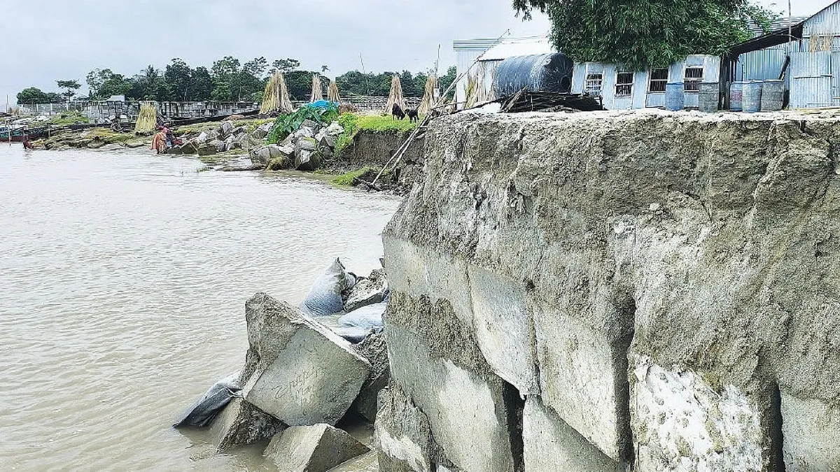 পদ্মার রুদ্ররূপে নিঃস্ব হওয়ার পথে নাজমা