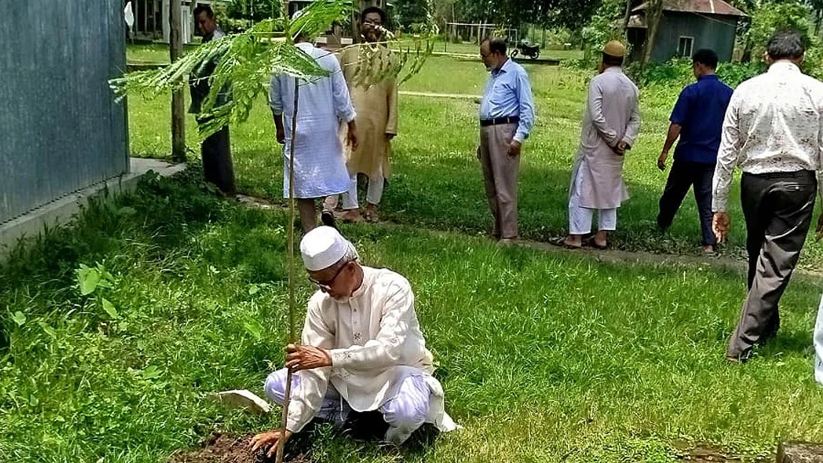 হাজারের বেশি কৃষ্ণচূড়া গাছ রোপণ করেছেন সমীর