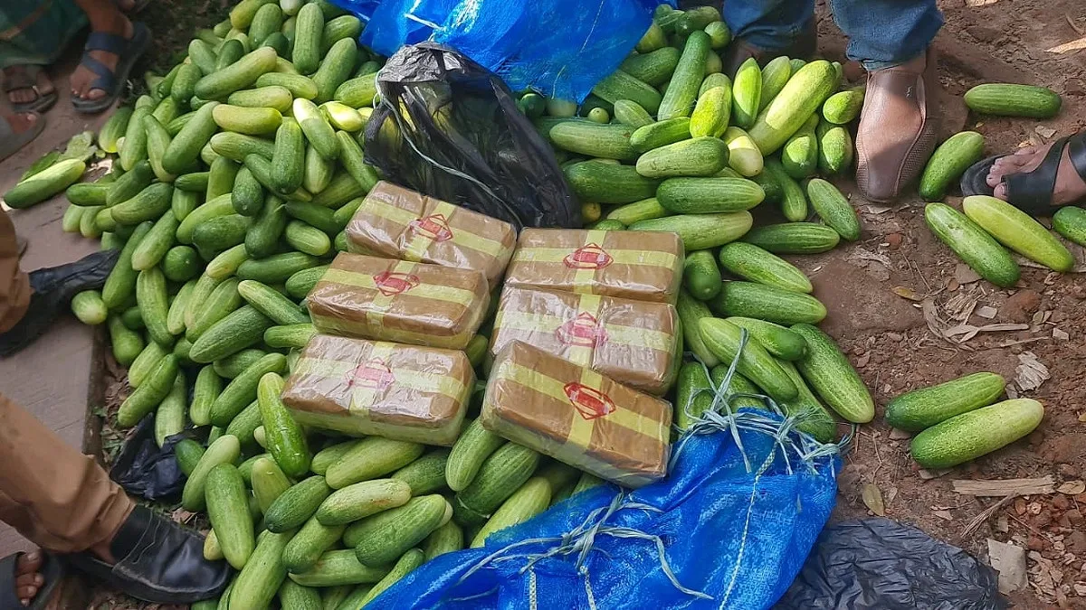 শসার বস্তা খুলতেই বের হলো ৬০ হাজার পিস ইয়াবা