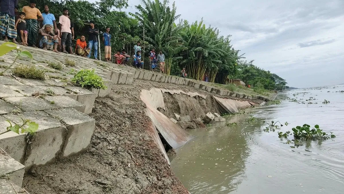 চিলমারীতে ব্রহ্মপুত্রের তীররক্ষা বাঁধে ফের ধস
