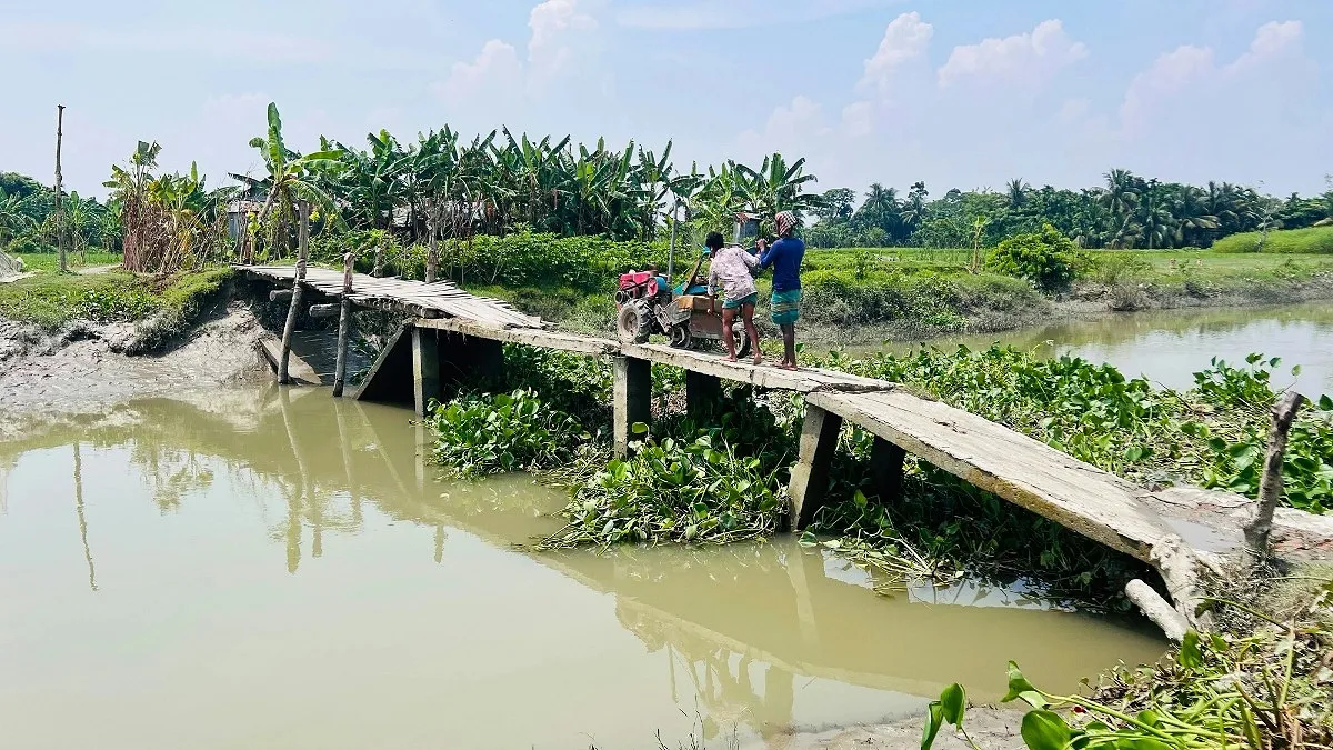 একটি সেতুর অভাবে দুর্ভোগে চরঘাসিয়া গ্রামের পাঁচ হাজার মানুষ