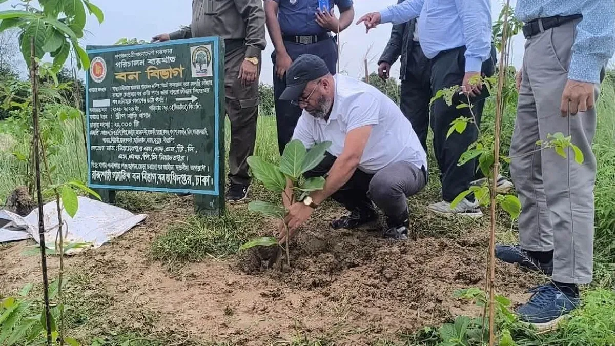 পরিবেশ ও জীববৈচিত্র্য রক্ষায় সবুজায়ন গুরুত্বপূর্ণ : পরিবেশ প্রতিমন্ত্রী