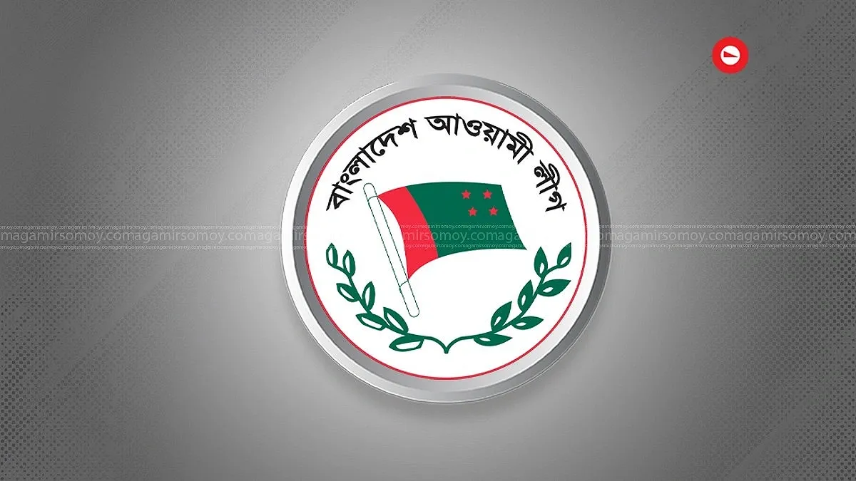 ঢাকাসহ তিন শহরে আ.লীগের ঝটিকা মিছিল, ককটেল