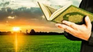 সবুজের আড়ালে স্রষ্টার নিপুণ কারিগরি