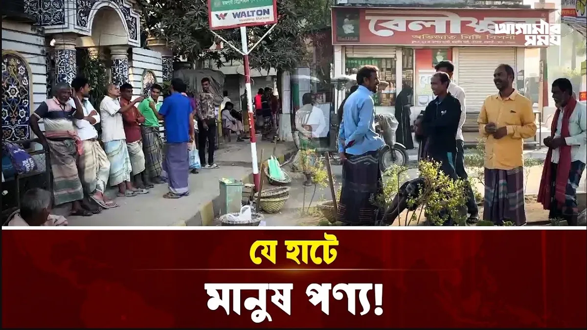 Video news 2