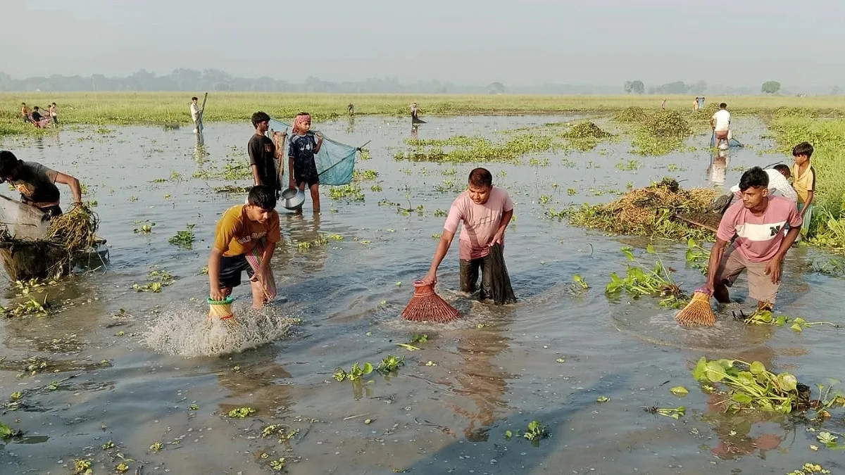 দাদুড়িয়া বিলে পলো বাওয়া উৎসবে আকাল মাছের