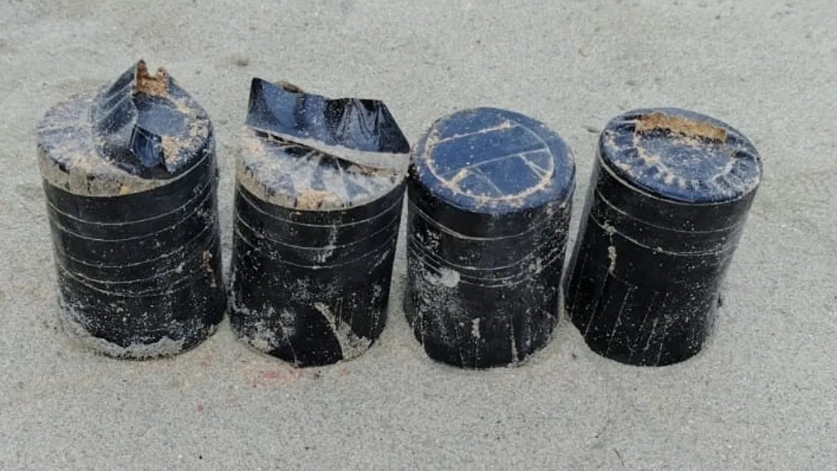 রাজধানীতে চার ককটেলসহ গ্রেপ্তার দুই
