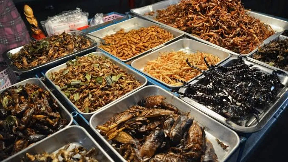 মাছ-মাংস ছেড়ে গুবরে পোকায় কামড়?