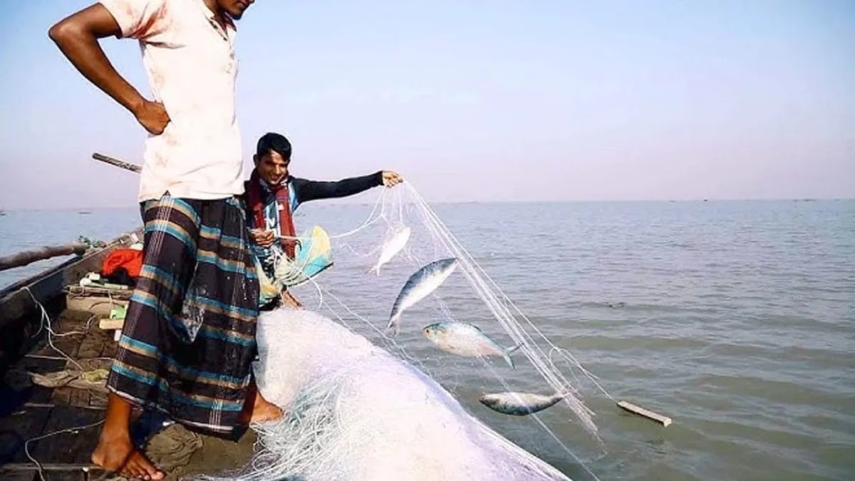 ইলিশ ধরায় ৮ মাসের নিষেধাজ্ঞা শুরু হচ্ছে মধ্যরাতে