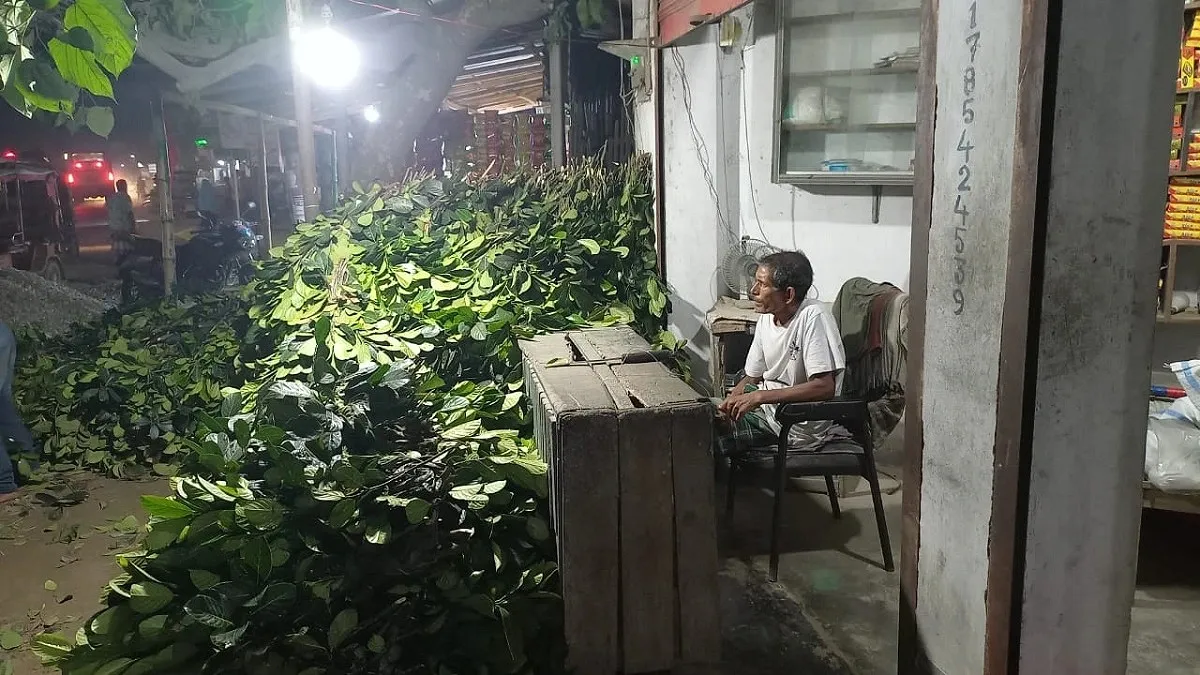 ২৪ বছরেও বেতন নেই, শিক্ষক হামিদ বিক্রি করেন কাঁঠালপাতা