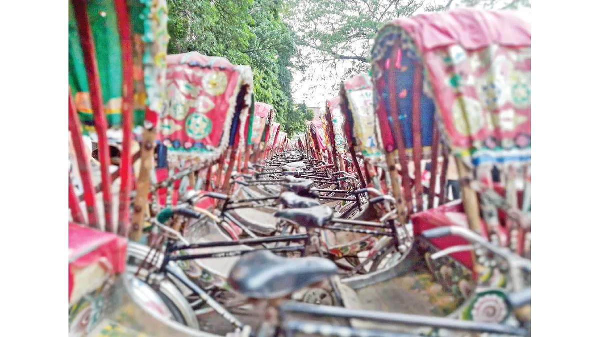 ধীরগতির সুন্দর অতীত