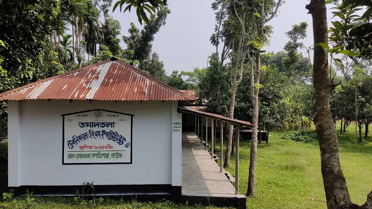 বাগাতিপাড়ায় তিন কলেজে এইচএসসিতে পাস করেনি কেউ