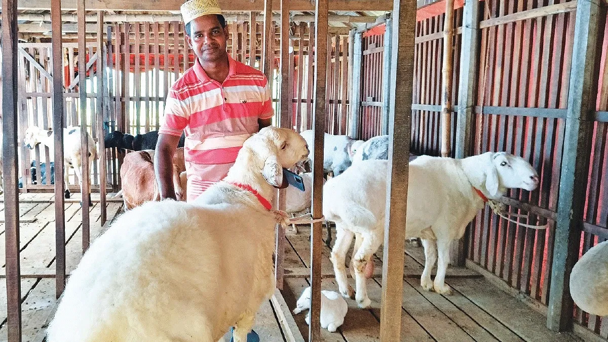 ইউটিউব দেখে শুরু, ৩২ বিঘার খামার হান্নানের