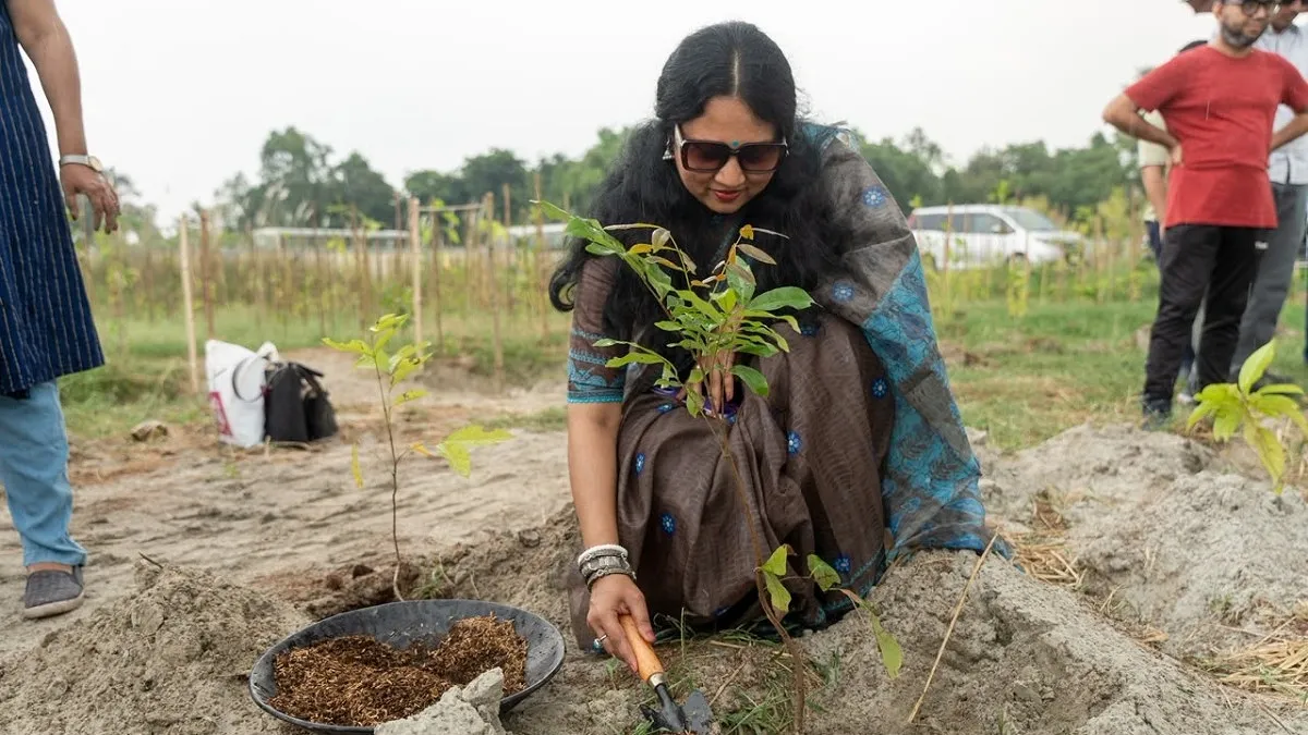 বাংলাদেশজুড়ে ১ লাখ গাছ রোপণ করল আড়ং