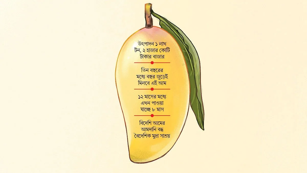 অর্থনীতির নতুন মধু কাটিমন আম