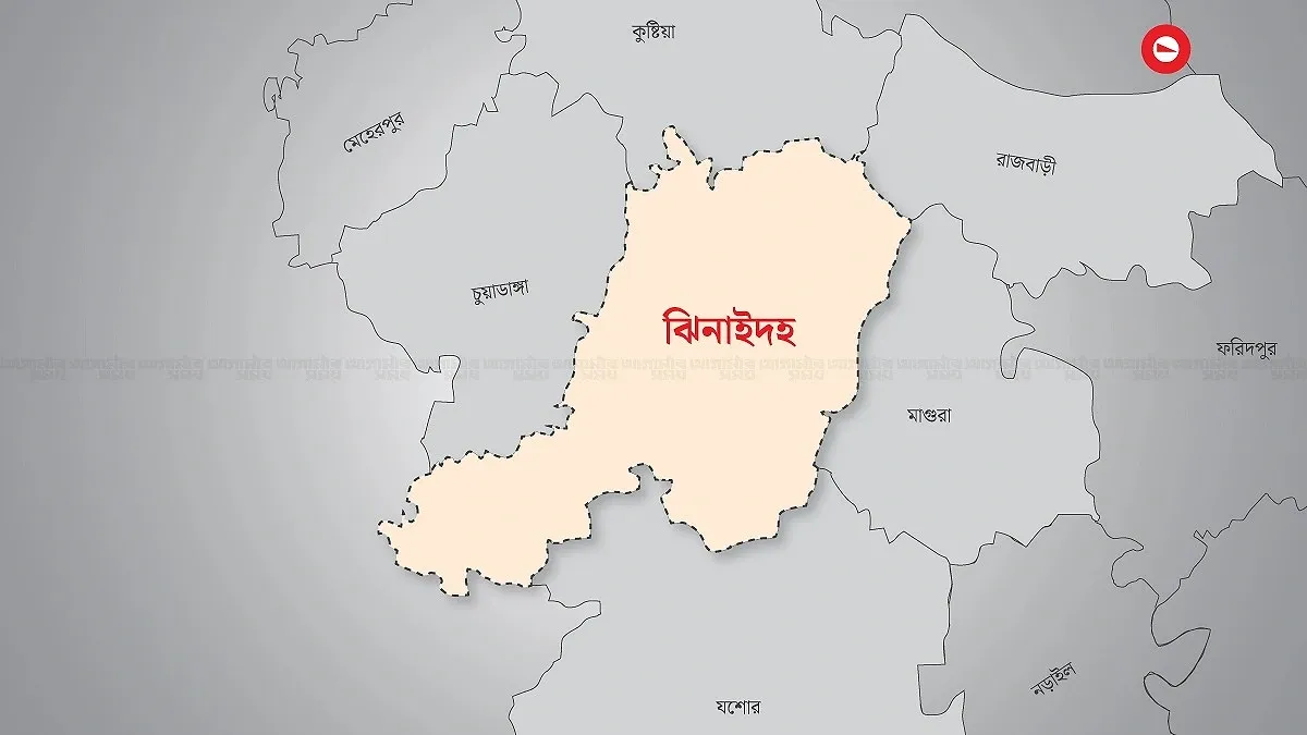 সারের কার্ড ভাগাভাগি নিয়ে বিএনপির দুপক্ষের সংঘর্ষ, আহত ১২