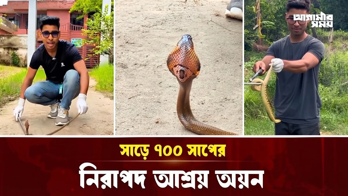 Video news 4