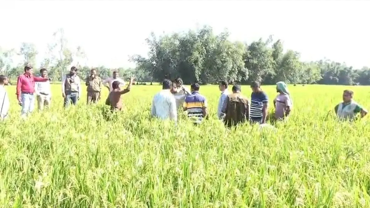 হাতীবান্ধায় চিতাবাঘের দেখা না পেয়ে ঢাকায় ফিরল বিশেষজ্ঞ দল