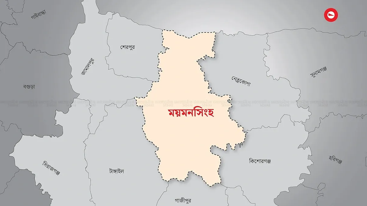 শিশুকে বলাৎকারচেষ্টার অভিযোগে বৃদ্ধকে গ্রেপ্তার