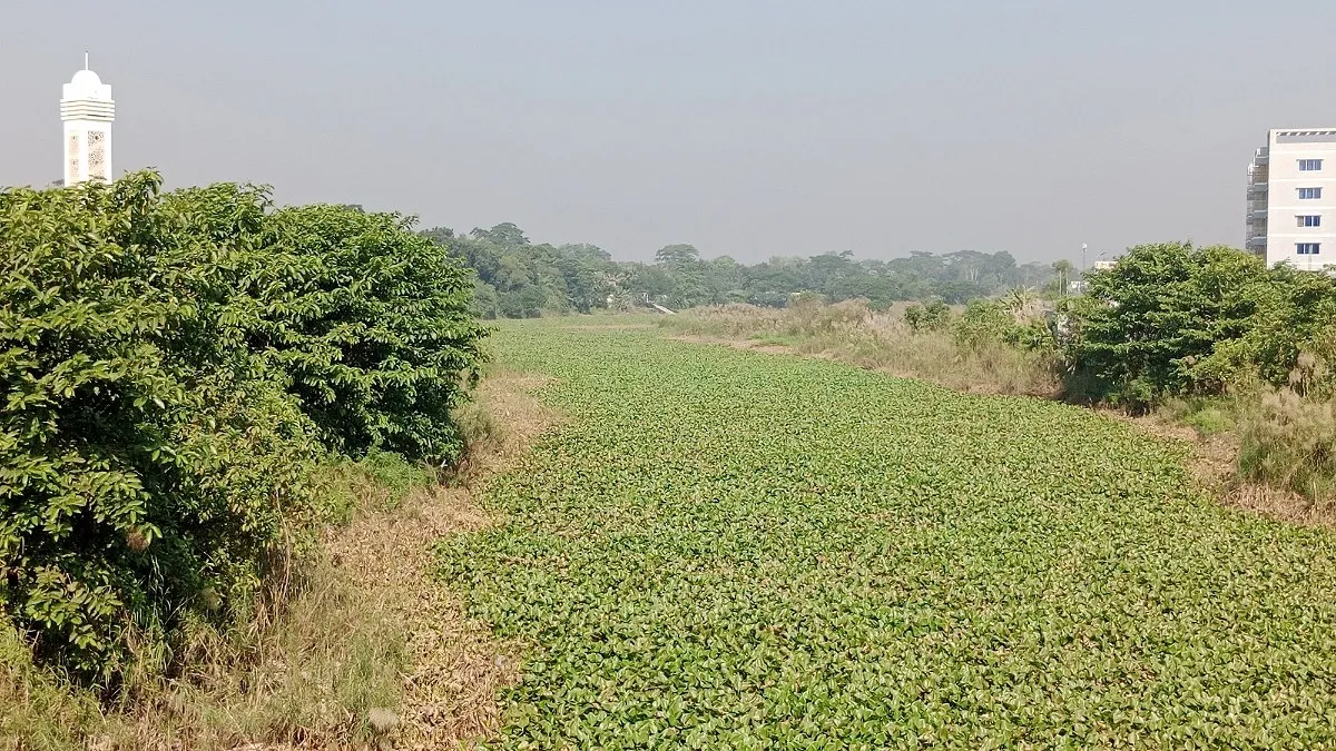 অস্তিত্ব হারানোর শঙ্কায় শিবচরের আড়িয়াল খাঁ ও ময়নাকাটা