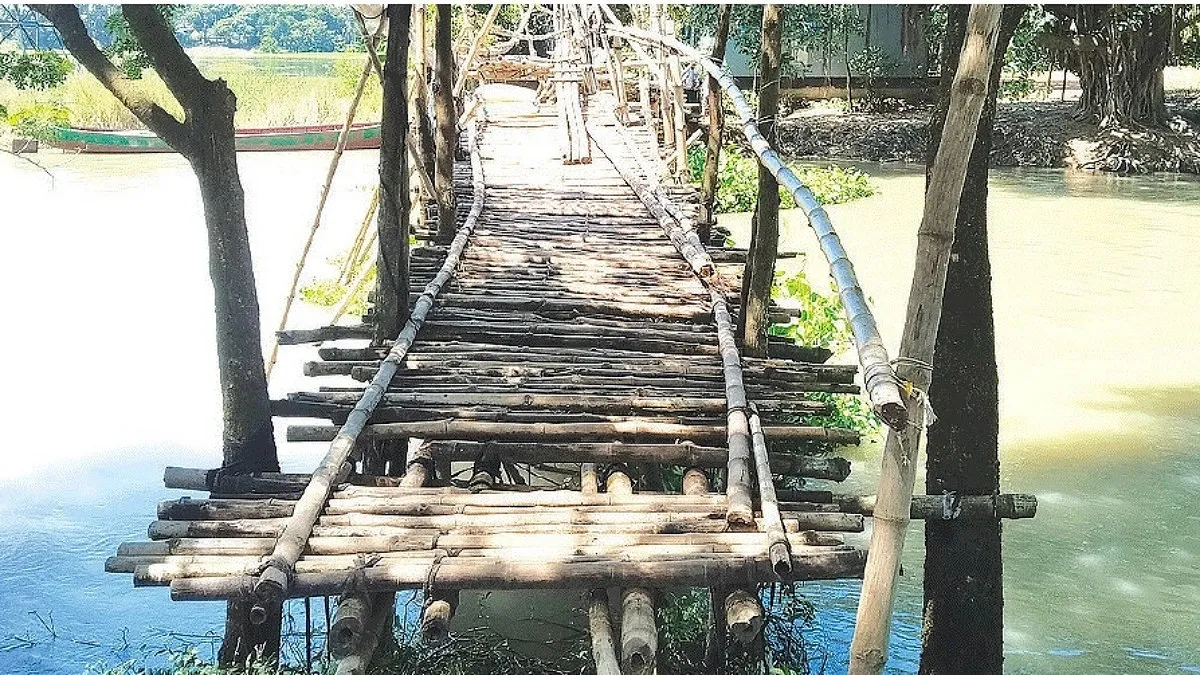স্কুলের পথে নড়বড়ে সাঁকো