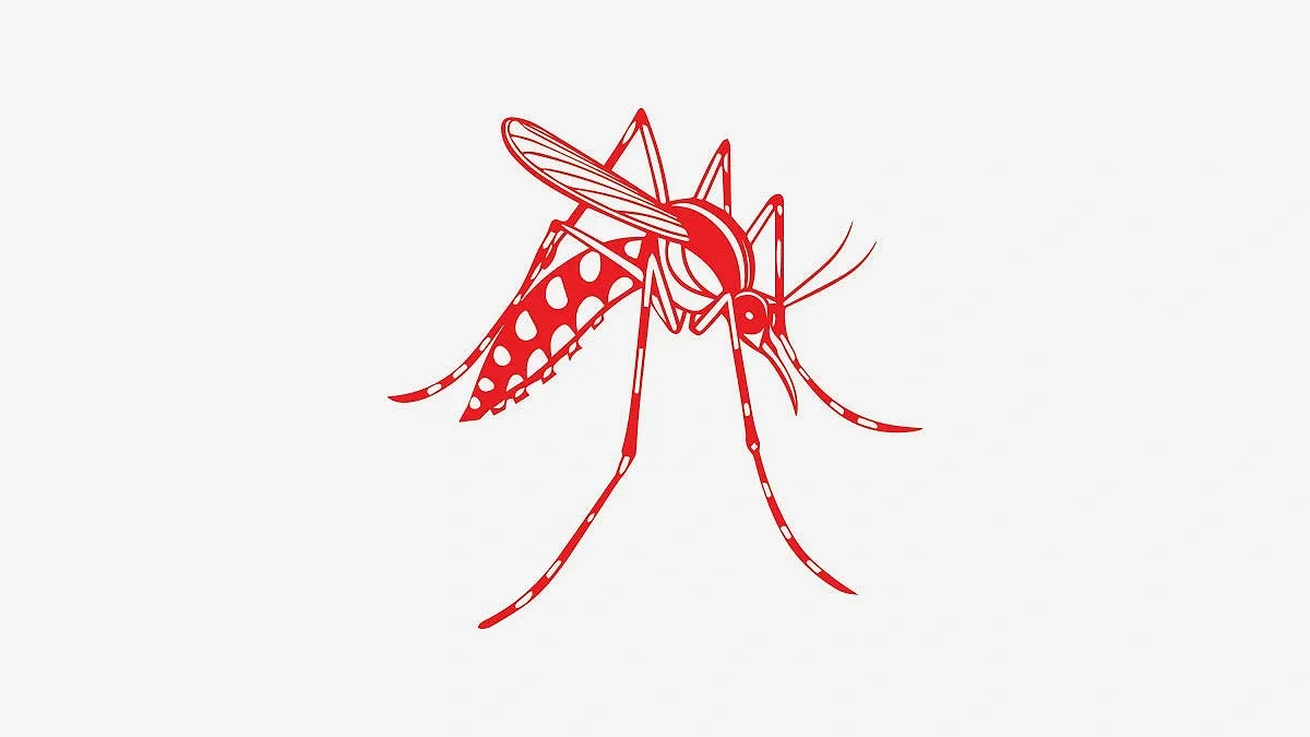Dengue won’t be brought under control within five years
