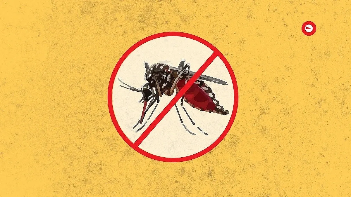 8 more die of dengue in 24 hours