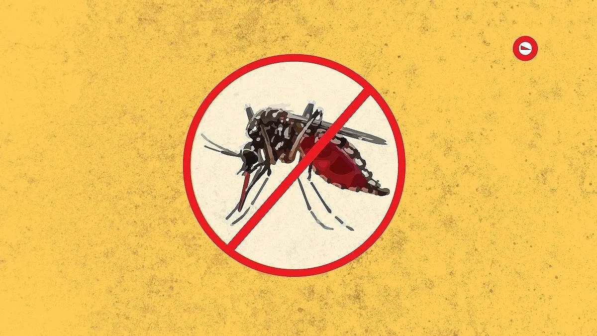16 percent of dengue patients are under 15 years old