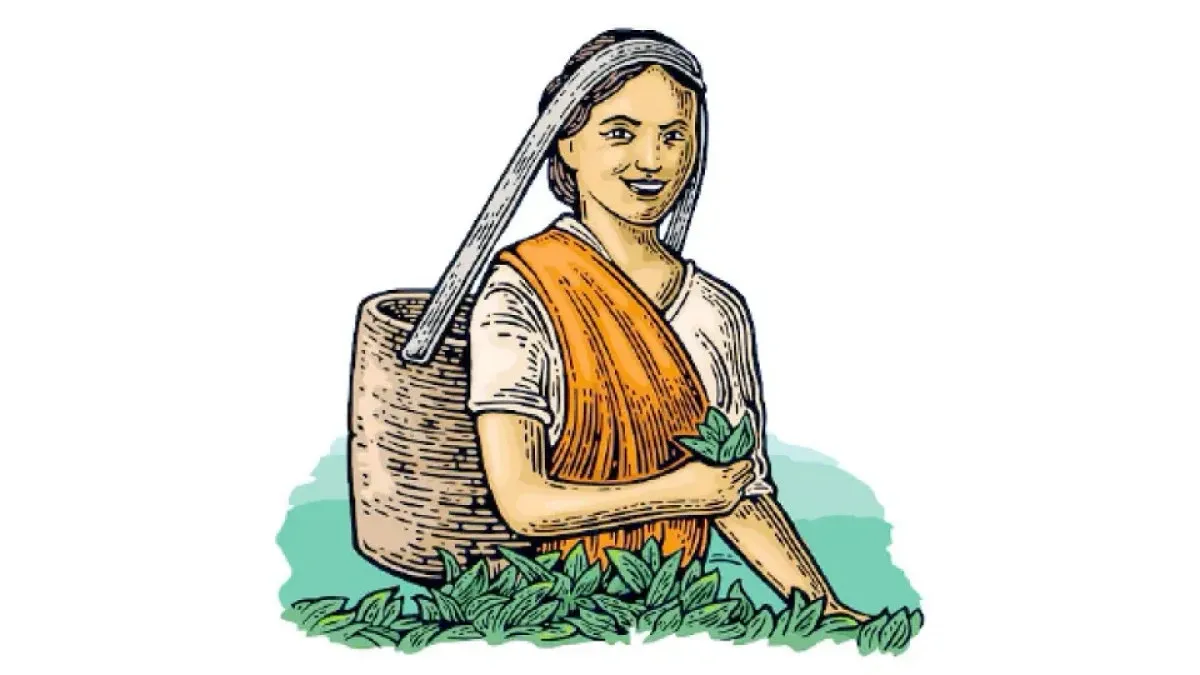 Voting in tea gardens after 8 years, 600 panels participate