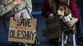 Limited truce starts in Ukraine to allow aid, evacuation