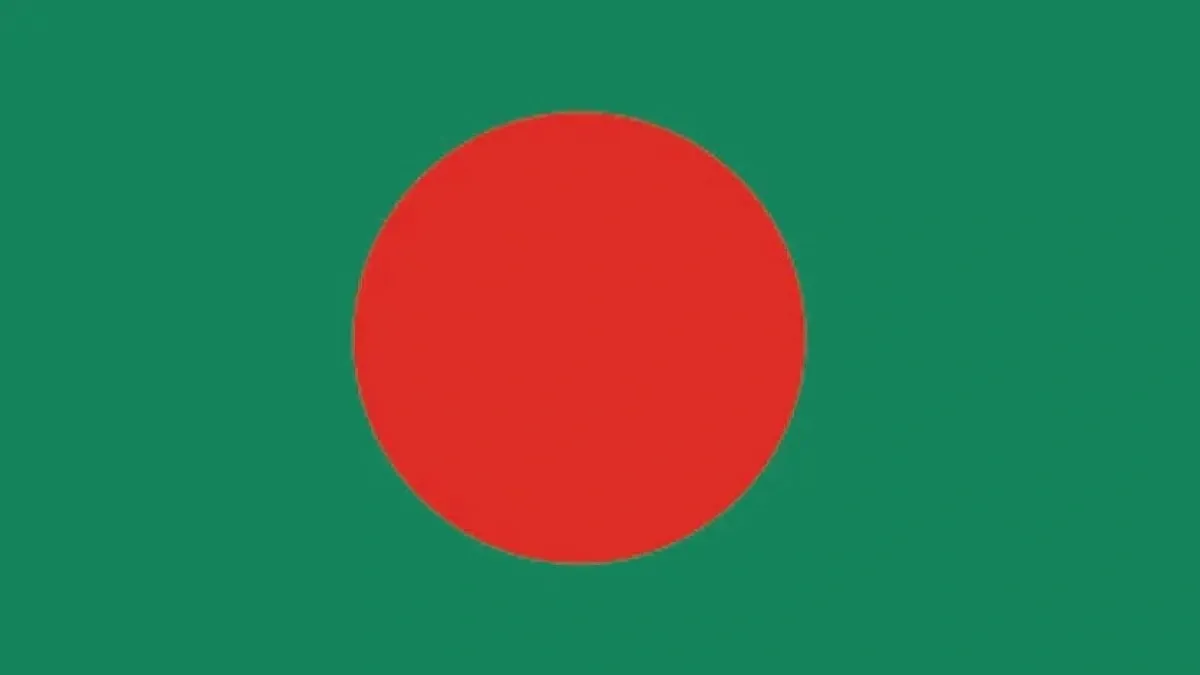 Government officials themselves violating national flag rules